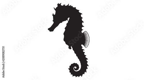 Photography Black seahorse silhouette, marine animal icon, ocean creature, vector graphic