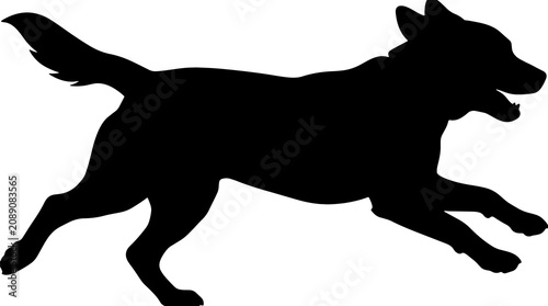Foto Black dog silhouette, running dog icon, canine clip art, pet graphic