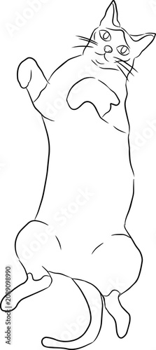 Cartoon Cat Stretching Illustration