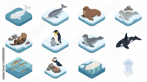 Fotografía Collection of Arctic and Antarctic Wildlife on Ice Floes.
