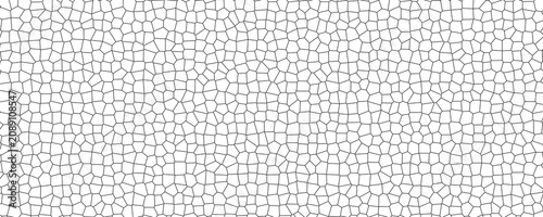 Cuadro en lienzo Abstract Voronoi tessellation pattern black line grid cellular structure isolate