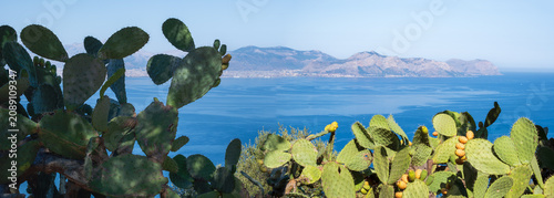 Quadro su tela Panoramic view of the gulf of Palermo from Monte Catalfano park in Sicily