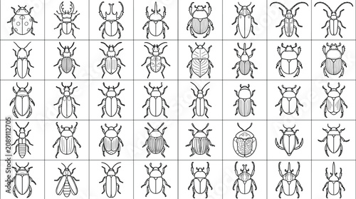 Bild auf Leinwand Collection of various beetle species isolated on white background illustrated in