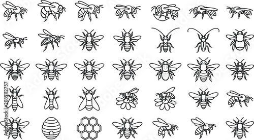 Honey bee icons set with hive and honeycomb elements isolated on white background in outline style