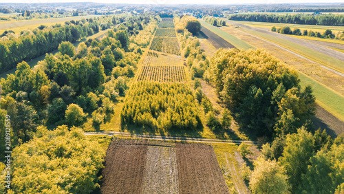 Konstfotografi Tree nursery supporting natural regeneration efforts