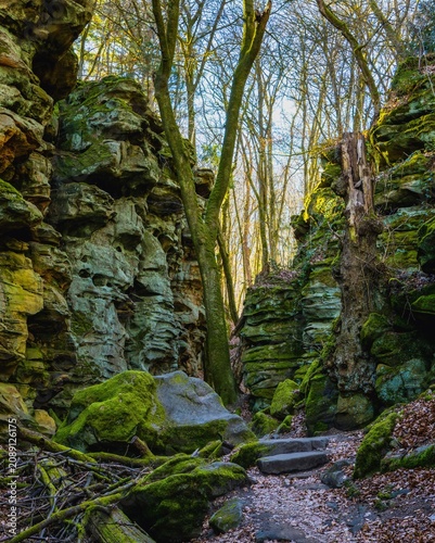 Fotografie A shot of an arduous footpath winding through the rock formations of the Teufelsschlucht in the Eifel region