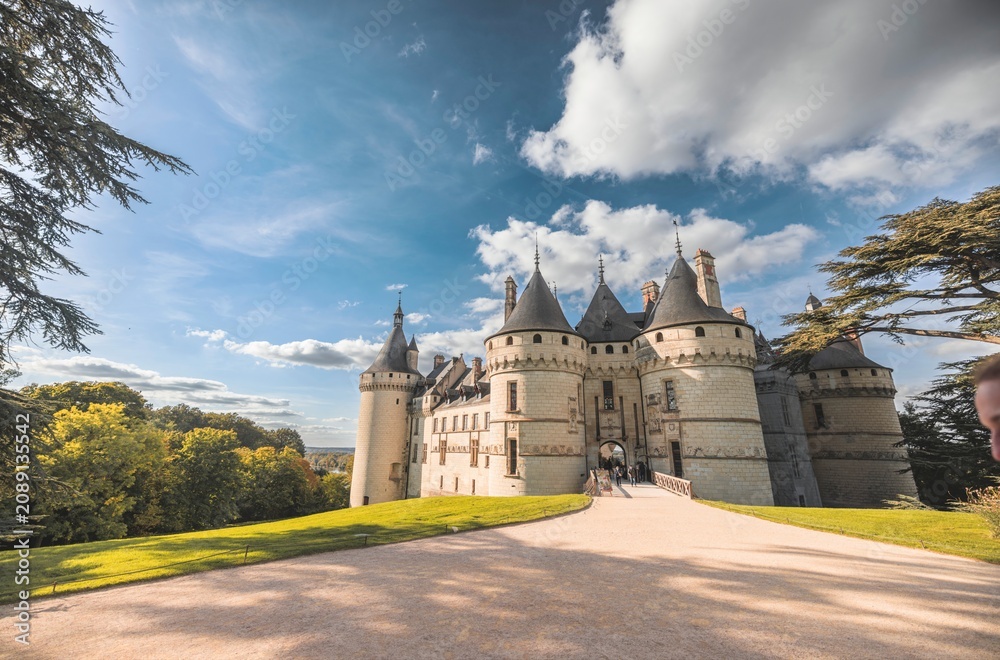 Obraz premium Blois dominates the Loire Valley with its majestic architecture and rich history, surrounded by lush gardens and vibrant trees under a bright blue sky. This scene invites a sense of wonder