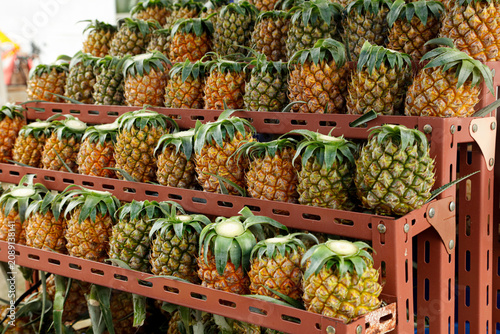 Fotografie Fresh Pineapples at Summer Fruit Market Stall - Tropical Street Vendors Selling