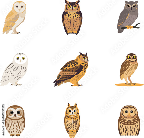 Quadro su tela Detailed Owl Species Vector Icon Set Featuring Barn Owl Snowy Owl Great Horned O