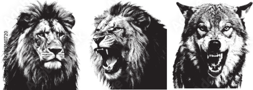 Foto Three fierce animal heads in halftone style with dramatic lighting against a whi