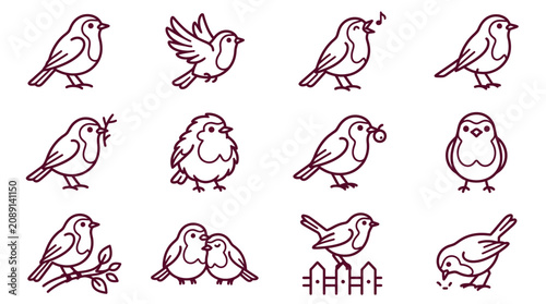 Foto Robin Bird Outline Icon Set