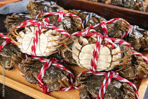 Fresh Yangcheng Lake Hairy Crabs from Suzhou China Tied with Red Rope at Local Market