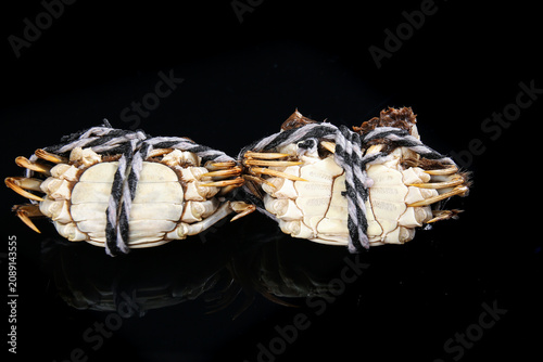 Fresh Yangcheng Lake Hairy Crabs from Suzhou China Tied with Rope Premium Seafood Delicacy