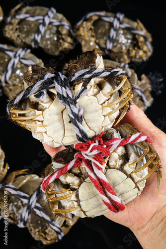 Fresh Yangcheng Lake Hairy Crabs from Suzhou China Tied with Strings Ready for Cooking