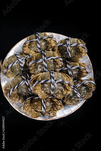 Fresh Yangcheng Lake Hairy Crabs from Suzhou China Tied with Rope on White Plate