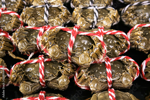 Fresh Yangcheng Lake Hairy Crabs from Suzhou China Tied with Red Rope for Market Sale