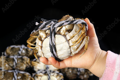 Fresh Yangcheng Lake Hairy Crabs from Suzhou China - Premium Chinese Seafood Delicacy