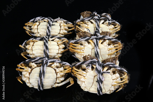 Fresh Yangcheng Lake Hairy Crabs from Suzhou China Tied with Rope Premium Seafood Delicacy