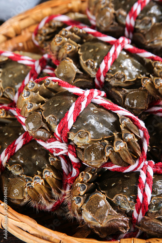 Fresh Yangcheng Lake Hairy Crabs from Suzhou China Tied with Rope in Basket