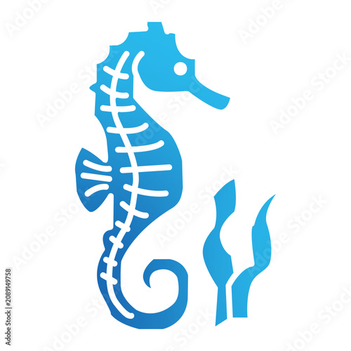 seahorse icon