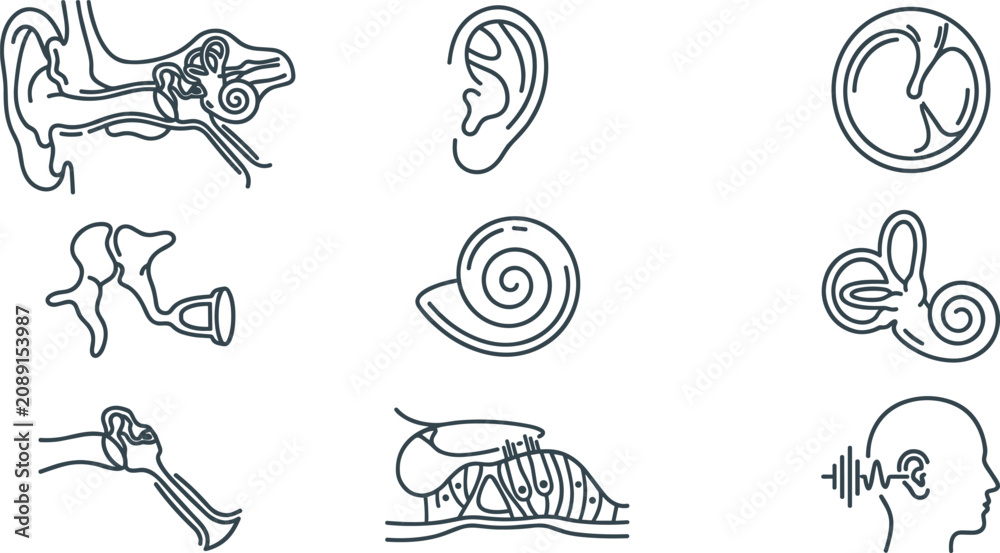 Fototapeta premium Ear Anatomy and Hearing Line Icon Set with Inner Ear, Cochlea, Eardrum, Auditory System, Hearing Health, and Otology Vector Collection