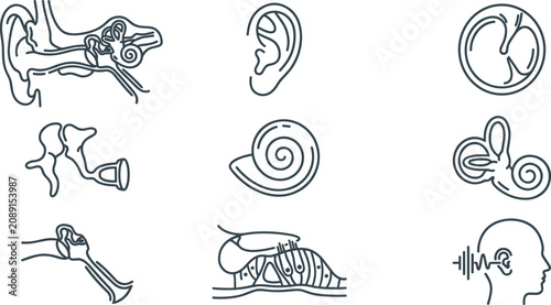 Canvastavla Ear Anatomy and Hearing Line Icon Set with Inner Ear, Cochlea, Eardrum, Auditory