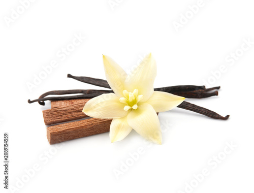 Vanilla flower and vanilla pods with sandalwood