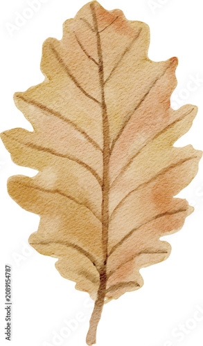 Watercolor Oak Autumn Leaves