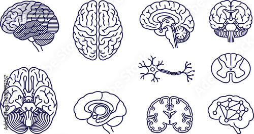 Foto Human Brain Anatomy Line Icon Set with Neurology, Nervous System, Neurons, Cereb