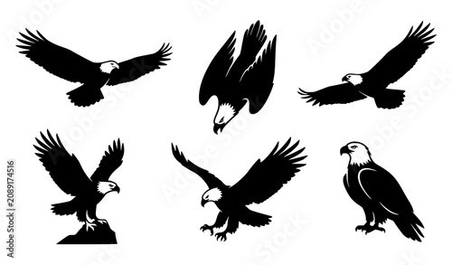 Photos Majestic Eagle Silhouette Collection with Dynamic Flying and Perched Bird Vector