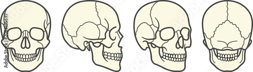 Obraz na plátně Human Skull Anatomy Line Icon Set with Frontal, Lateral, Posterior, Cranial Stru