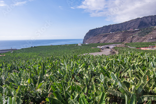 Cityscape of Tazacorte (La Palma, Spain)
