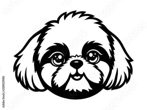 Tableau sur toile Dog, Shih Tzu, Lhasa Apso, head, muzzle, portrait