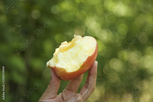 Fresh Red Fuji Apple Bite with White Flesh in Hand Against Green Nature Background