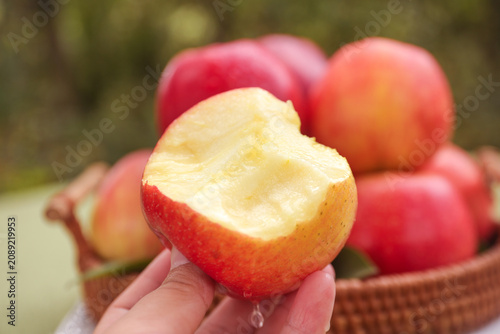 Heart-shaped bite in red Fuji apple from Shaanxi plateau - healthy fruit still life