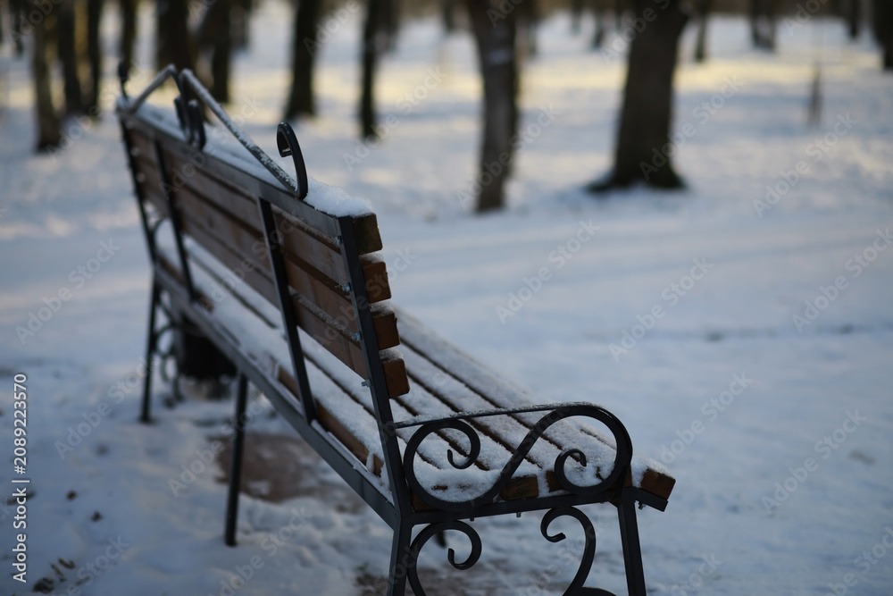 Naklejka premium park bench on a winter alley at snowfall. bench with snow after snowstorm or in snow calamity in europe