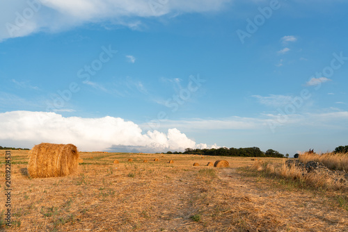  Wide rural field with hay bales, blue sky and large white clouds on the horizon.