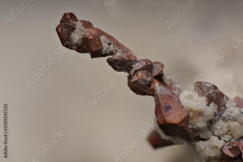 Foto Microscope macro photography of native copper crystals from Altai on light neutral background via 5x objective