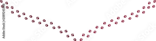 Photography Minimalist animal paw print trail, vector illustration