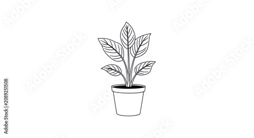 Potted houseplant line art on white background