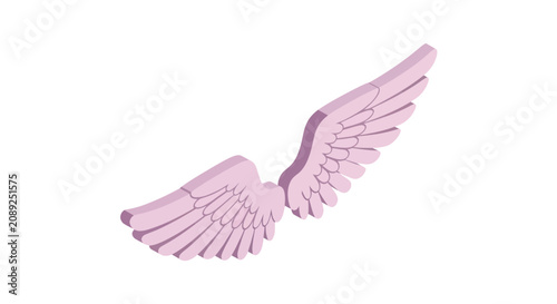 Pink isometric angel or bird wings