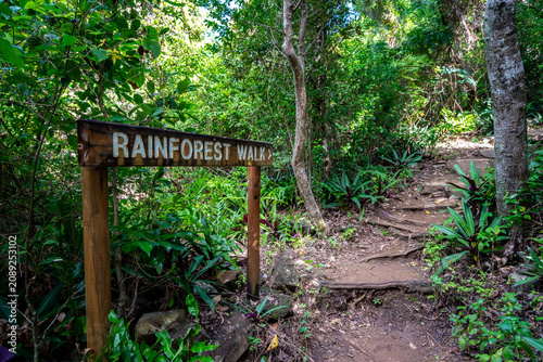Canvas Print Rainforest walk on Daydream Island in Whitsundays, QLD, Australia