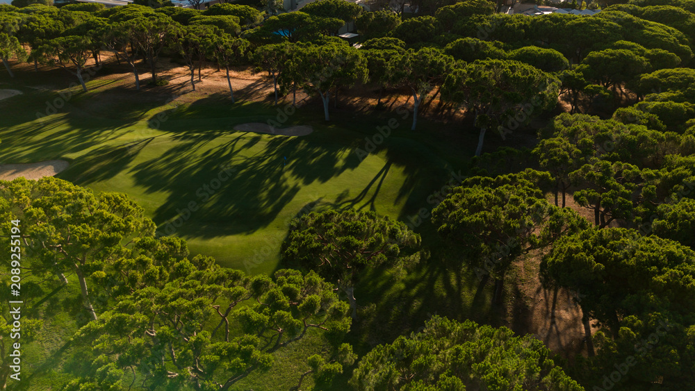 Naklejka premium Aerial view of a lush green park with a pathway bisecting the manicured lawn and surrounded by dense trees on a sunny day Stock Photo
