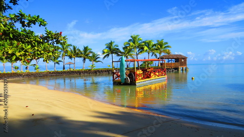 Colorful pontoon boat moored at palm fringed tropical beach