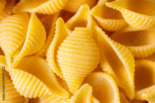Dry pasta shells as textured background. Shot from above. Background and textures.