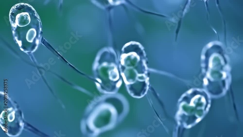 Microscopic cells illustration