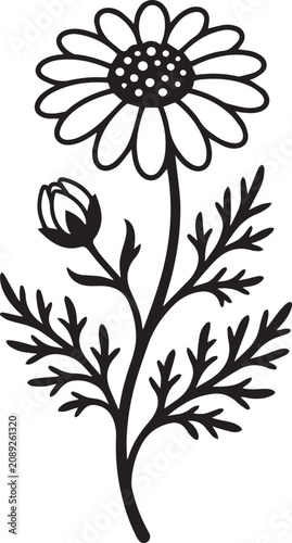 Chamomile Flower with Leaves Black Vector Illustration