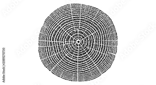 Pine tree ring texture vector, vintage nature wood slice graphic, tactile print.