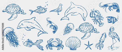 Photography Marine wildlife set of blue ink sketches including dolphins, sea turtles, a crab, fish, a seagull, and a flamingo