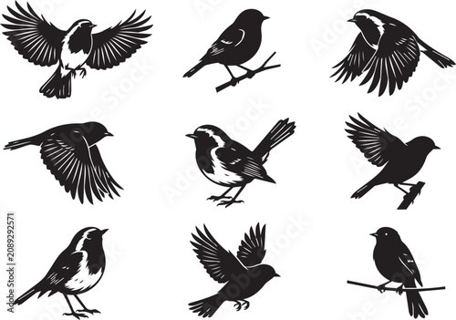 Foto Collection of diverse bird silhouettes in various poses against a clean backgrou